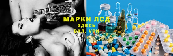 трава Богородицк