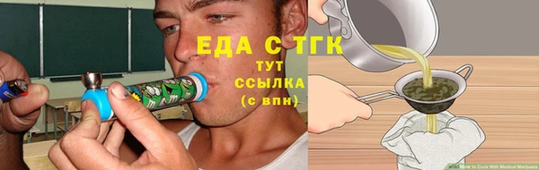 гашик Богданович
