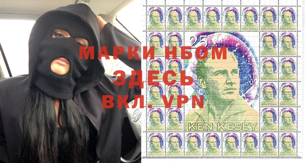 гашик Богданович
