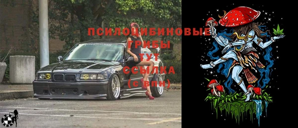 гашик Богданович